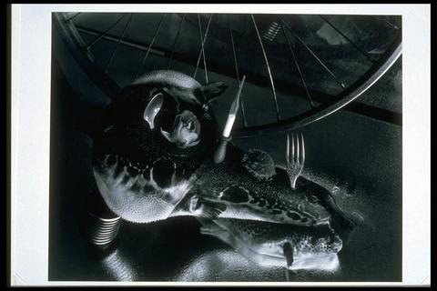 Michiko Kon, Balloonfish with Rose and Wheel, from the EAT portfolio, 1990