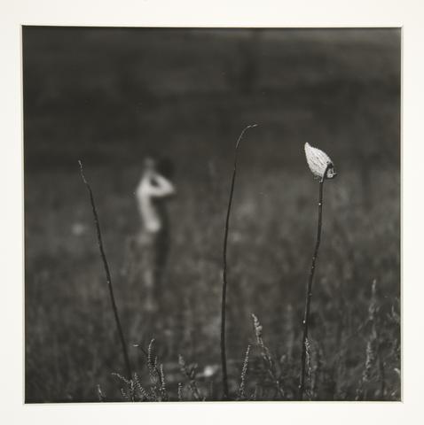 Ralph Eugene Meatyard, Untitled [tall grasses with boy in distance], n.d.