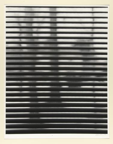 Susan R. Rubinstein, Untitled, 1978