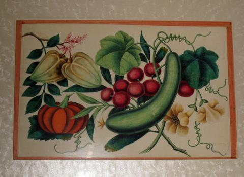 Unknown, Exotic Fruits and Vegetables, 19th century