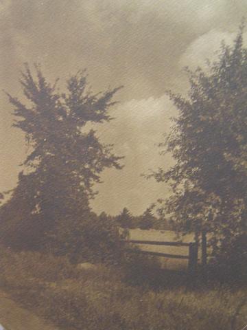 William Gordon Shields, Meadow with fence, trees, and clouds, ca. 1910s