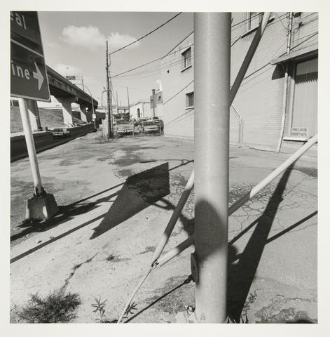 Lee Friedlander, Untitled, from the series Sticks & Stones, 20th century