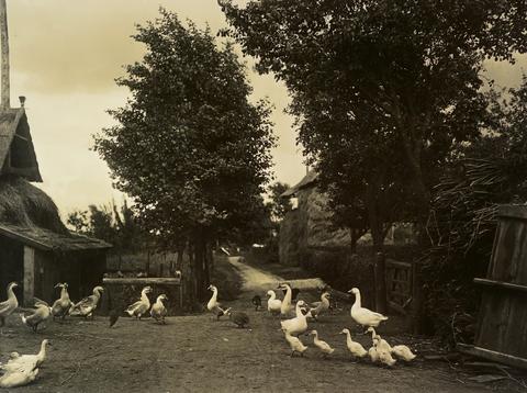 Richard Tepe, On a Farm under Vaassen (Veluwe), 1900–1952