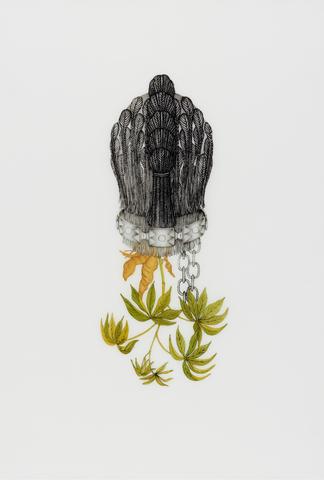 Joscelyn Gardner, Manihot flabellifolia (Old Catalina), from the suite, Creole Portraits III: "bringing down the flowers", 2011
