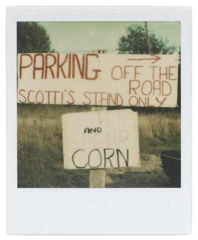 Walker Evans, Untitled [Roadside Signs: Fruit and Vegetable Stand], 1974, 09/01