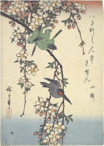 Utagawa Hiroshige, Birds on a Cherry Branch, 8th month, 1859