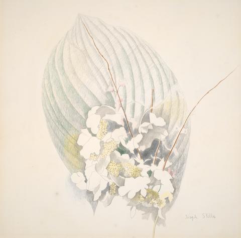 Joseph Stella, Flowers, ca. 1920–30