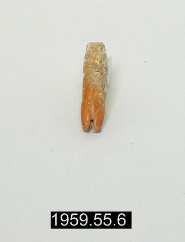 Unknown, Carved whistle fragment, A.D. 500–900