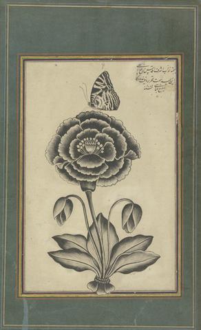 Shafi' Abbasi, Flower and a Butterfly, dated AH 1065–1654/55 CE