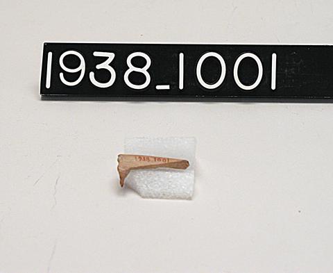 Unknown, Bone Handle Fragment, ca. 323 B.C.–A.D. 256