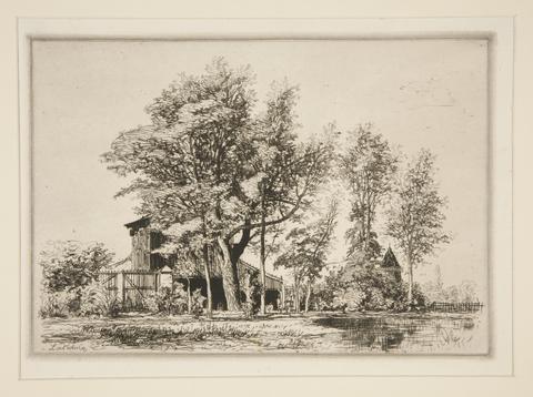 Maxime Lalanne, Acacia Trees, 19th century