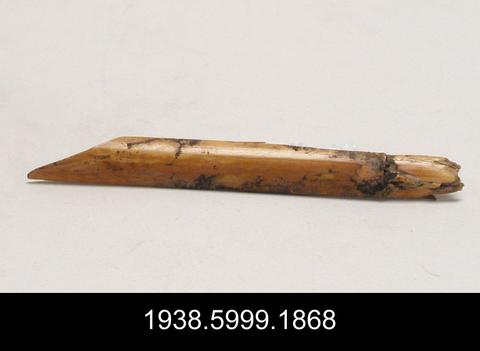 Unknown, Reed Fragment, 323 B.C.–A.D. 256