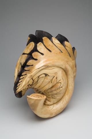 Michelle Holzapfel, Blossfeldt Vase, 2001