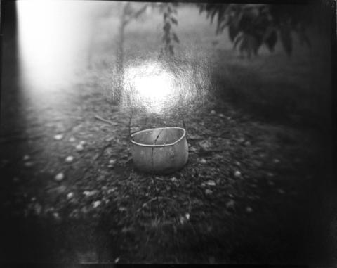 Sally Mann, Untitled (Pan in Forest), ca. 1995, printed 2001