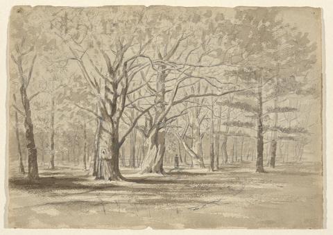 William Fowler Hopson, College Woods, ca. 1900