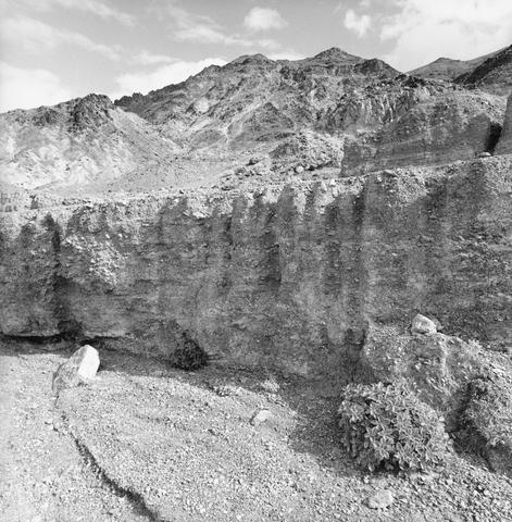 Lee Friedlander, Death Valley National Park, California, 2004