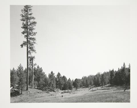 Robert Adams, Malheur National Forest, South of John Day, Grant County, Oregon, 1999–2003
