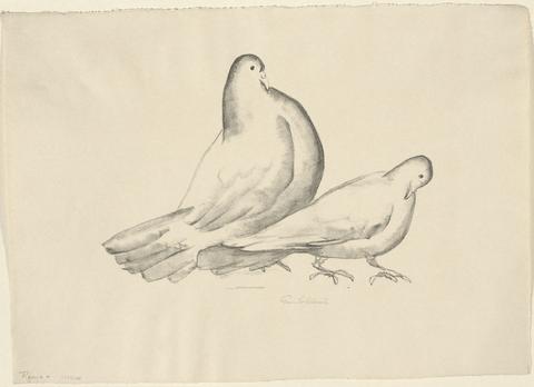 Anne Goldthwaite, Pigeons, ca. 1929