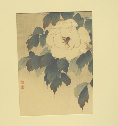 Unknown, Peony Blossom, 19th century