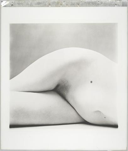 Irving Penn, Nude, No. 147, 1949–50