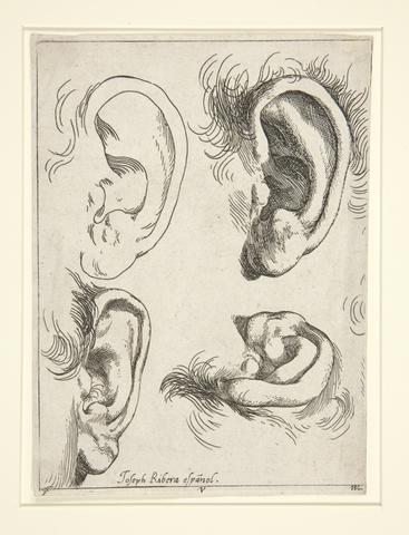 Jusepe de Ribera, Studies of Four Ears, 17th century