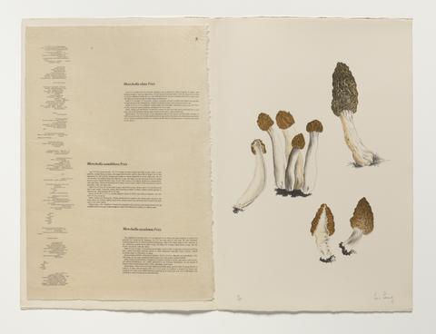 John Cage, Mushroom Book, 1972