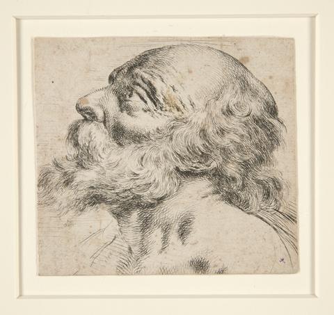 Unknown, Untitled (bearded man, looking up to right), n.d.