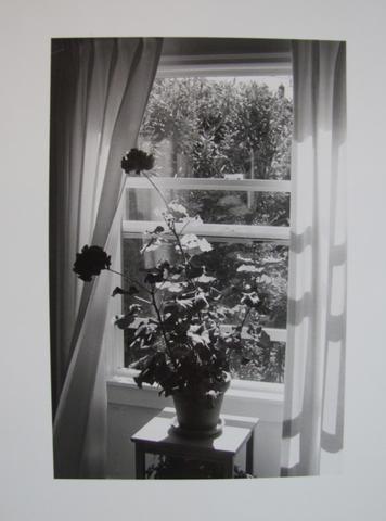 Robert Adams, Home. The front window, Astoria, Orgeon, 20th century
