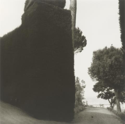 Lynn Geesaman, Hedge and Road, Villa Gamberaia, Settignano, Italy, 1990