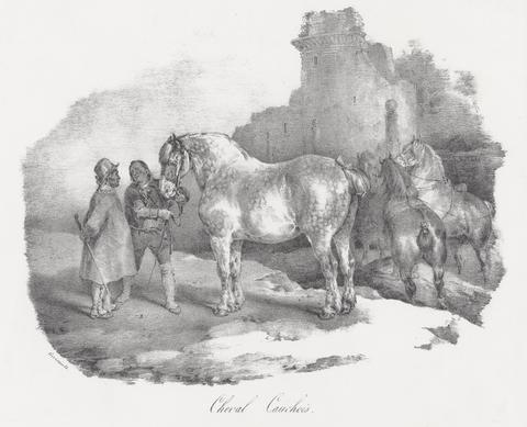 Théodore Géricault, Cheval Cauchois (A Native Horse from Caux, Normandy), 1822