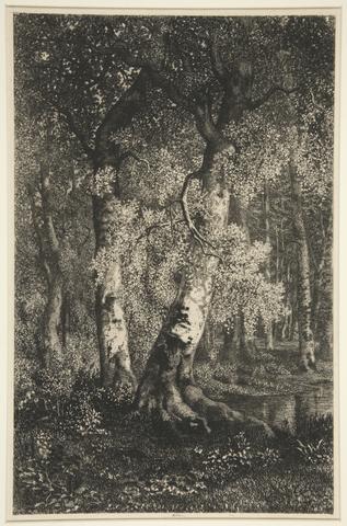 Adolphe Martial Potemont, The Beeches, n.d.