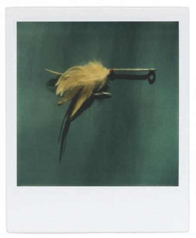 Walker Evans, Untitled [Salmon Fly], 1973–74