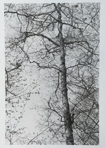 Robert Adams, Untitled, related to the series: This Day, 2009