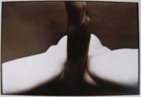 Hosoe Eikoh, Embrace #48 (arm and legs), 1969–71