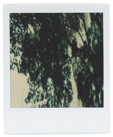 Walker Evans, Untitled [Shadows on Wall, Martha's Vineyard], October 1, 1974