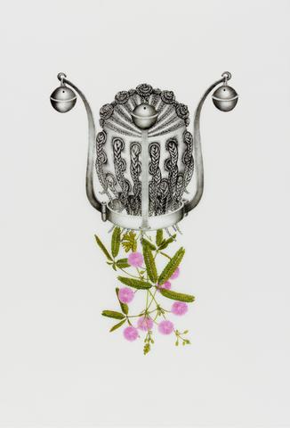 Joscelyn Gardner, Mimosa pudica (Yabba), from the suite, Creole Portraits III: "bringing down the flowers", 2009