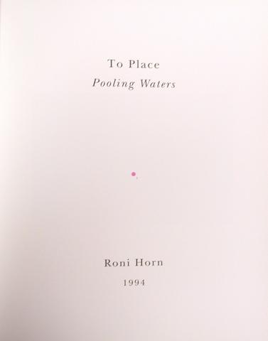 Roni Horn, To Place: Pooling Waters, 1994