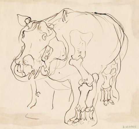 Stephanie Kieffer, Hippopotamus, 1957