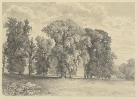 Unknown, Meadow and Trees, 19th century