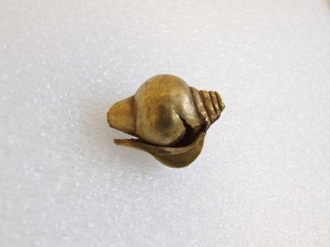 Unknown, Conch-shaped Ornament, mid-7th to 10th century