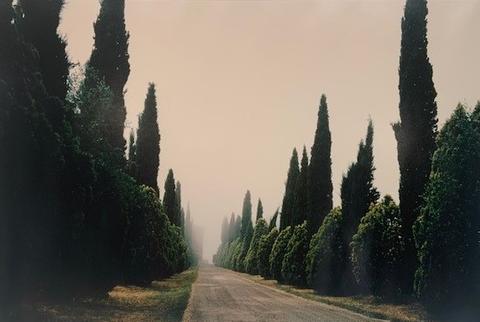 Joel Meyerowitz, Castello, from the portfolio Toscana, 1996