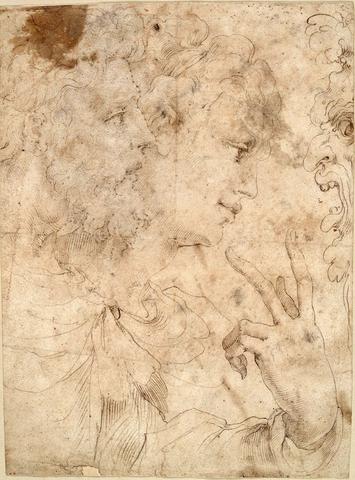Unknown , Bolognese or Fontainebleau School, Studies for three profiles and a hand, ca. 1560