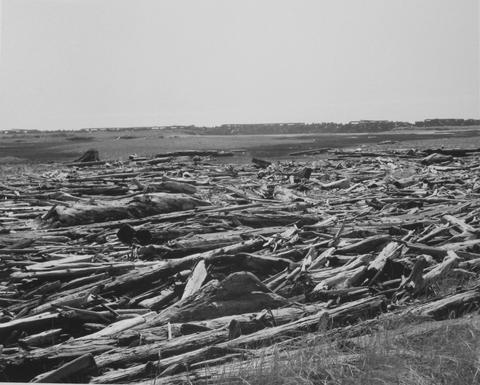 Robert Adams, On the Columbia River side of the South Jetty, Clatsop County, Oregon, ca. 1991, printed 2006