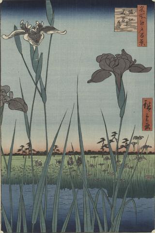 Utagawa Hiroshige, Irises of Horikiri, from the series One Hundred Famous Views of Edo, ca. 5th month, leap year 1857