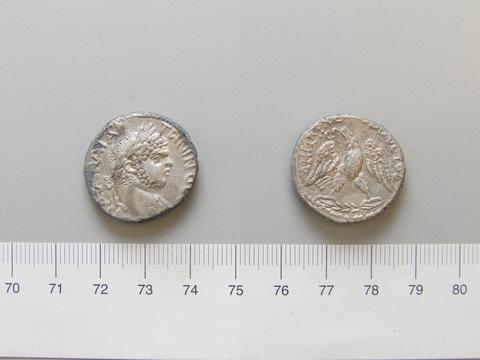 Caracalla, Roman Emperor, Tetradrachm of Caracalla, Roman Emperor from Cyprus, 215–17