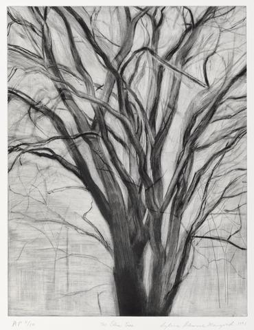 Sylvia Plimack Mangold, The Elm Tree, 1991