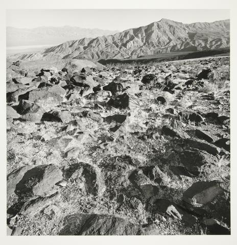 Lee Friedlander, Death Valley, 1997