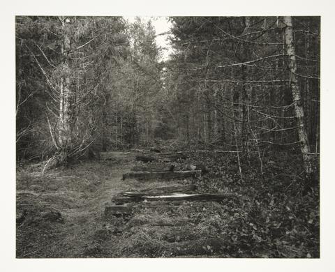 Mark Ruwedel, Comox Logging and Railway Company #5, from the series Westward the Course of the Empire, 2002