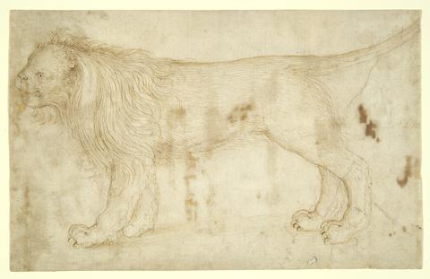 Unknown Venetian, last third of the 15th century, A Lion, ca. 1480