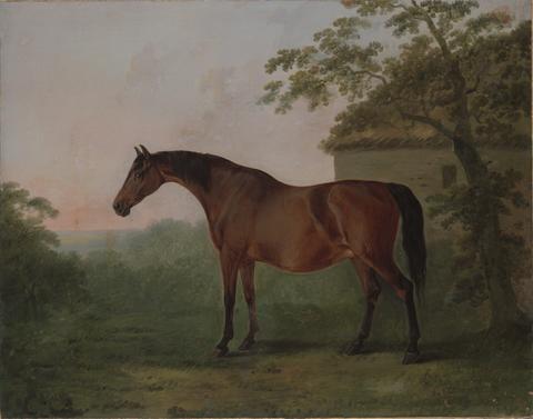 George Stubbs, Juno, 1792